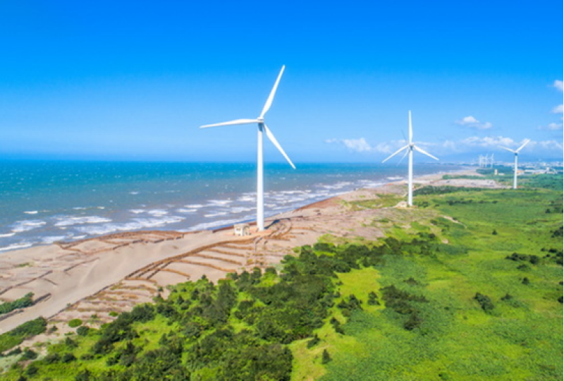 自然樂章：田園與濕地微旅行