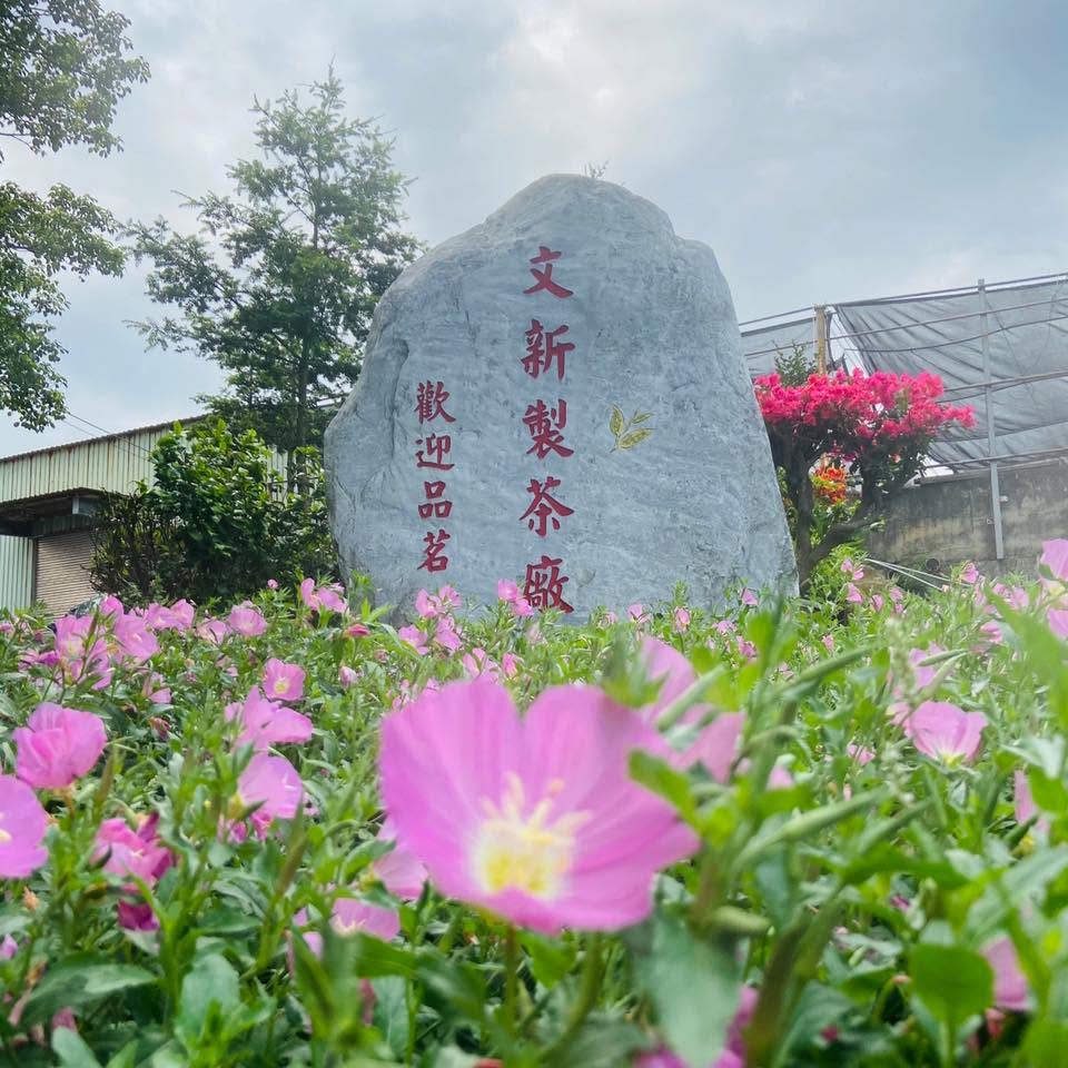 文新製茶廠