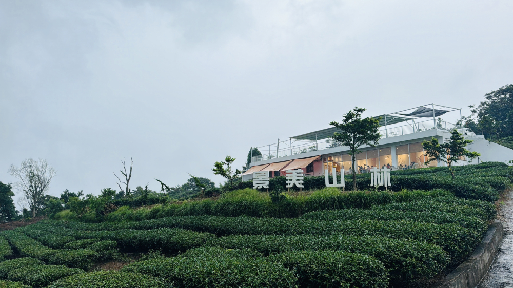 景美山林茶園＆山月茶屋