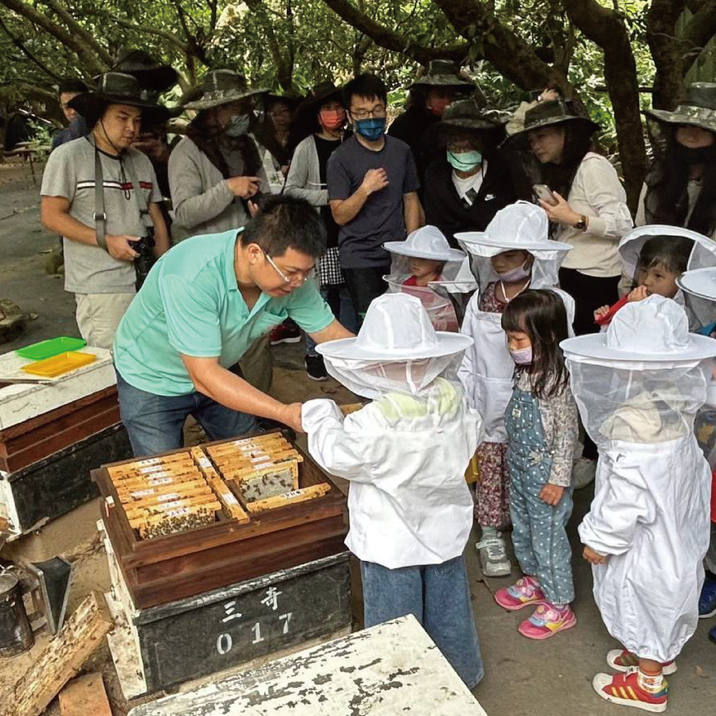 三奇蜜蜂生態農園