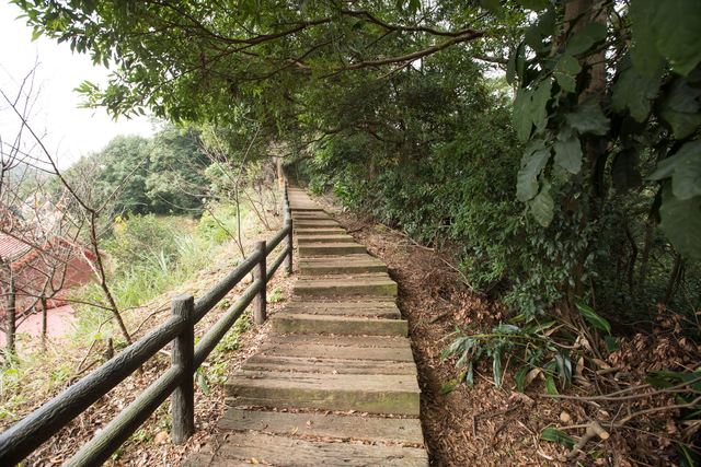 龜山楓樹坑步道