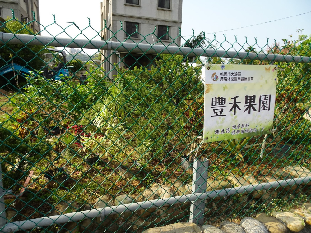豐禾果園工作坊