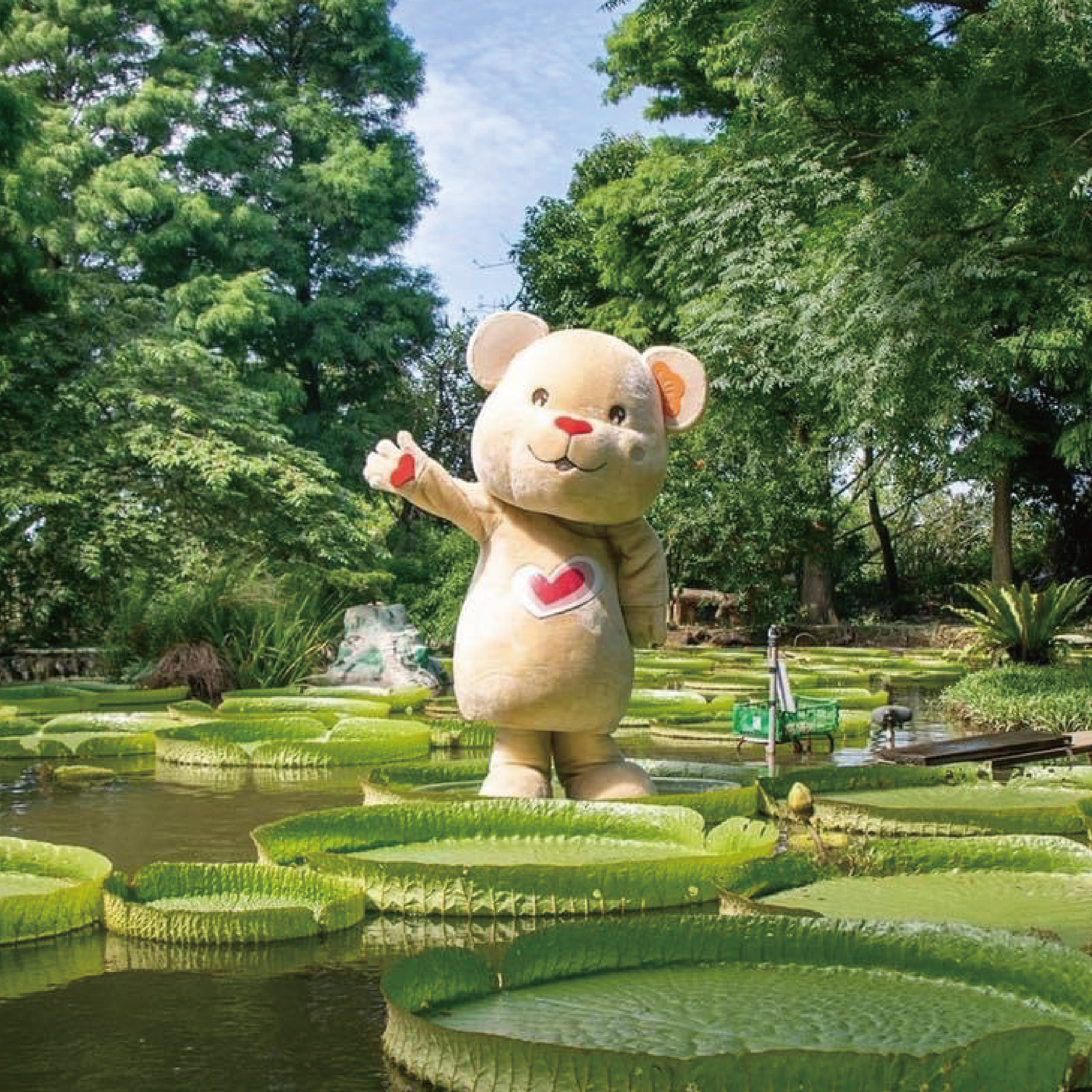 蓮荷園