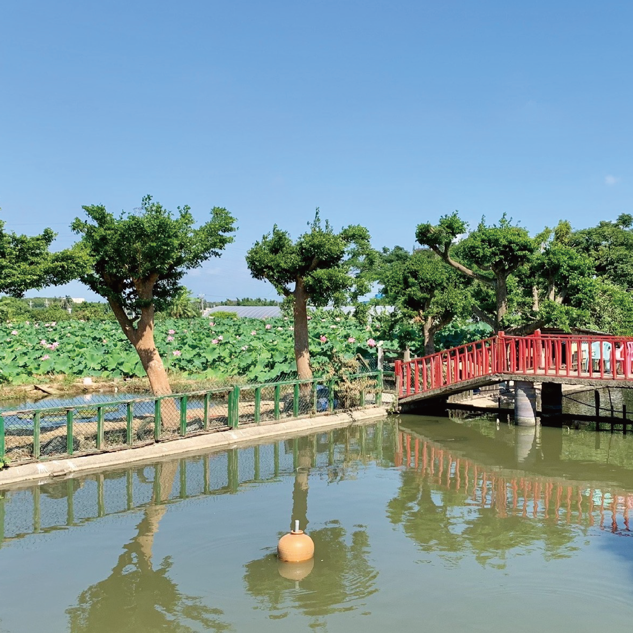 大田蓮花園
