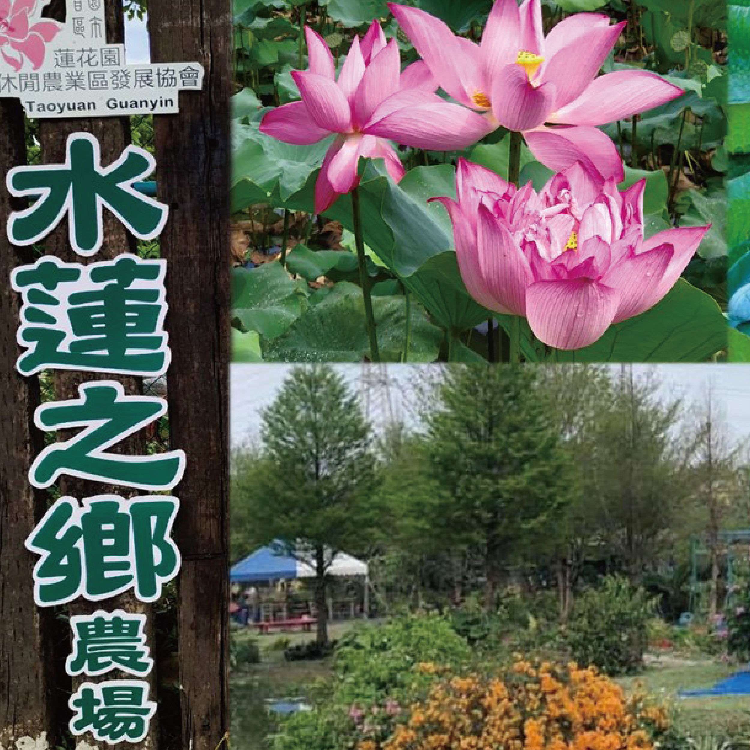 水蓮之鄉農場