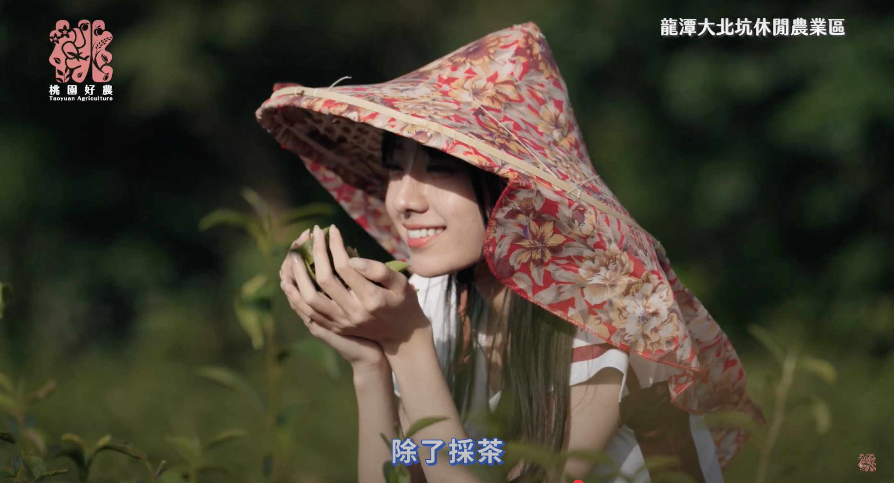 桃園好農好好玩！深度休閒農遊體驗，等你來探索！